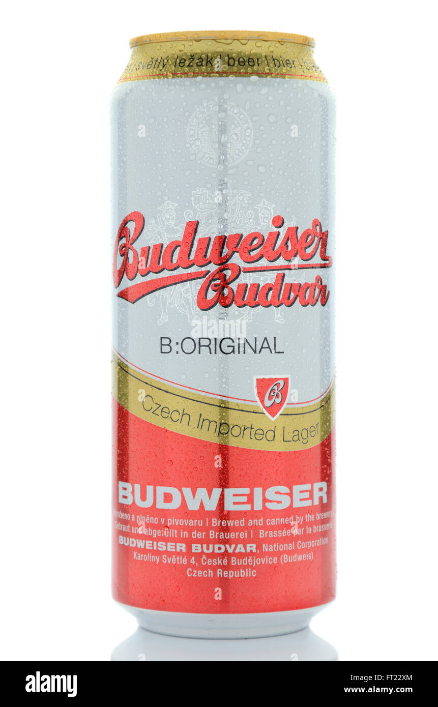 Budweiser lager beer isolated on white background Stock Photo Alamy