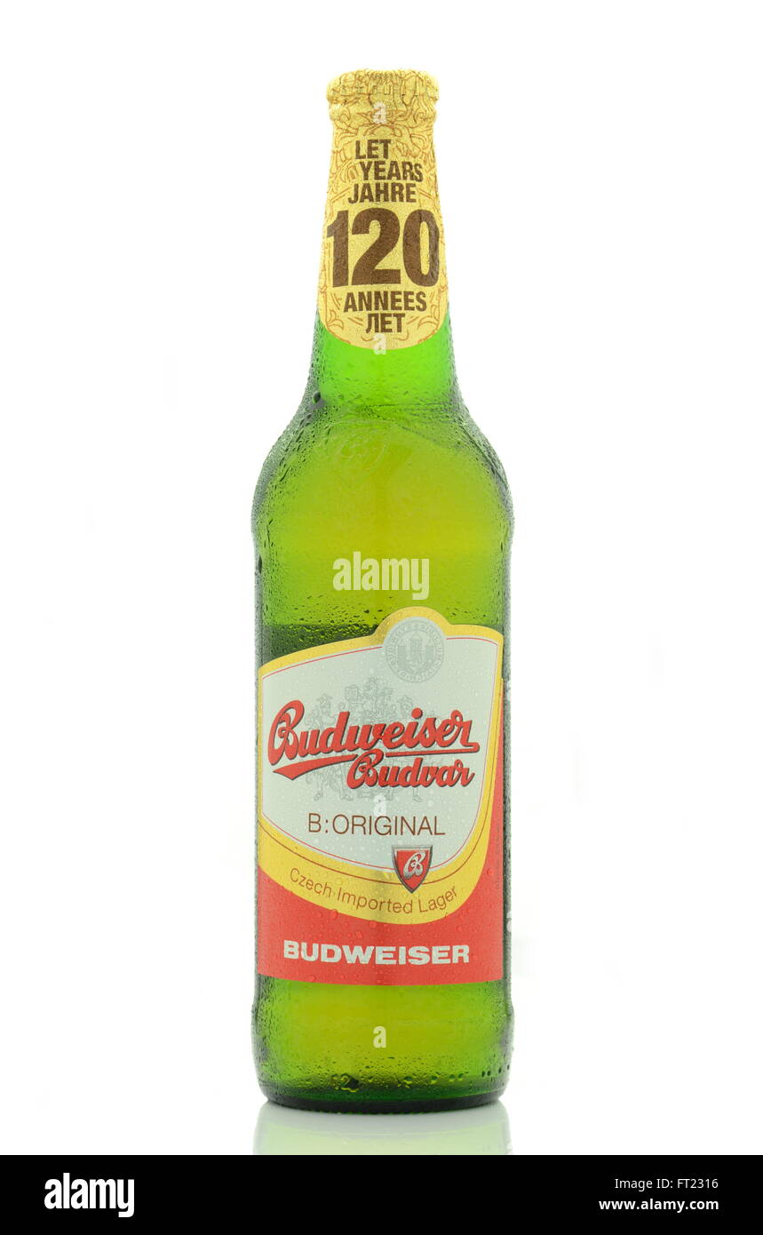 Budweiser lager beer isolated on white background Stock Photo Alamy