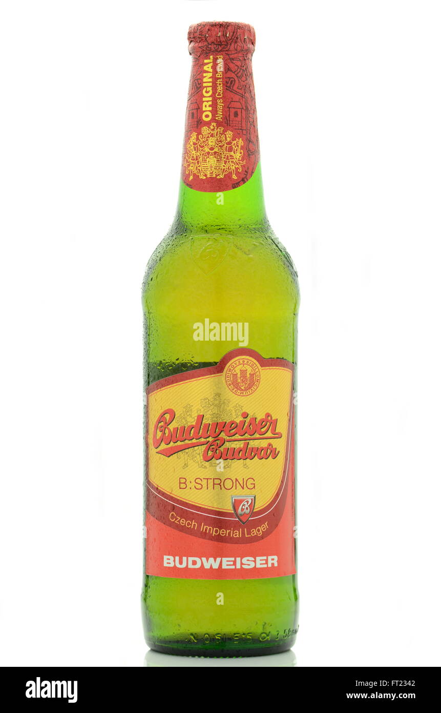 Budweiser lager beer isolated on white background Stock Photo Alamy