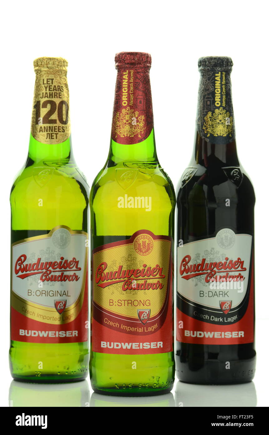 Budweiser lager beer isolated on white background Stock Photo Alamy