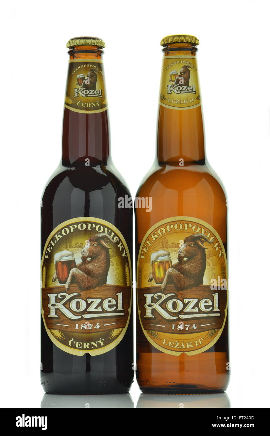 Velkopopovicky Kozel beer isolated on white background Stock Photo Alamy
