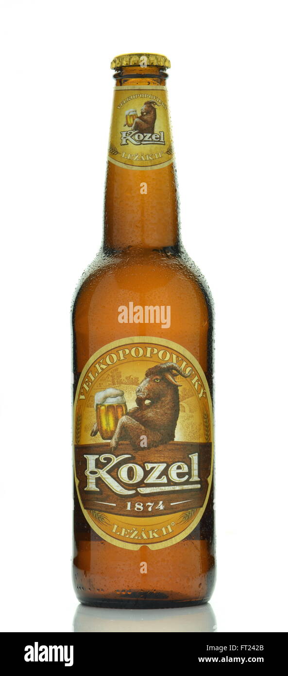 Velkopopovicky Kozel beer isolated on white background Stock Photo - Alamy