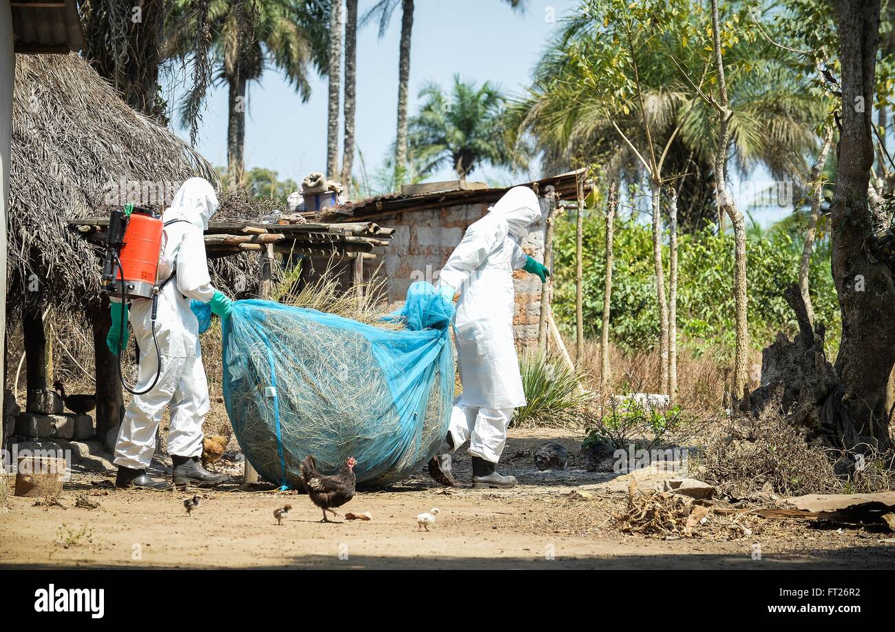 A medical team removes bedding and a mosquito net from the home of an Ebola virus victim in preparation for decontamination February 10, 2015 in Port Loko District, Sierra Leone. Stock Photo
