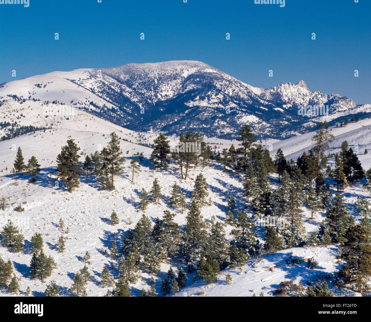 sleeping giant mountain and foothills in winter snow near helena, montana Stock Photo