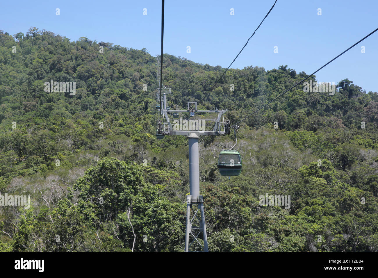 kuranda skyrail, a cable car over the rainforest queensland australia