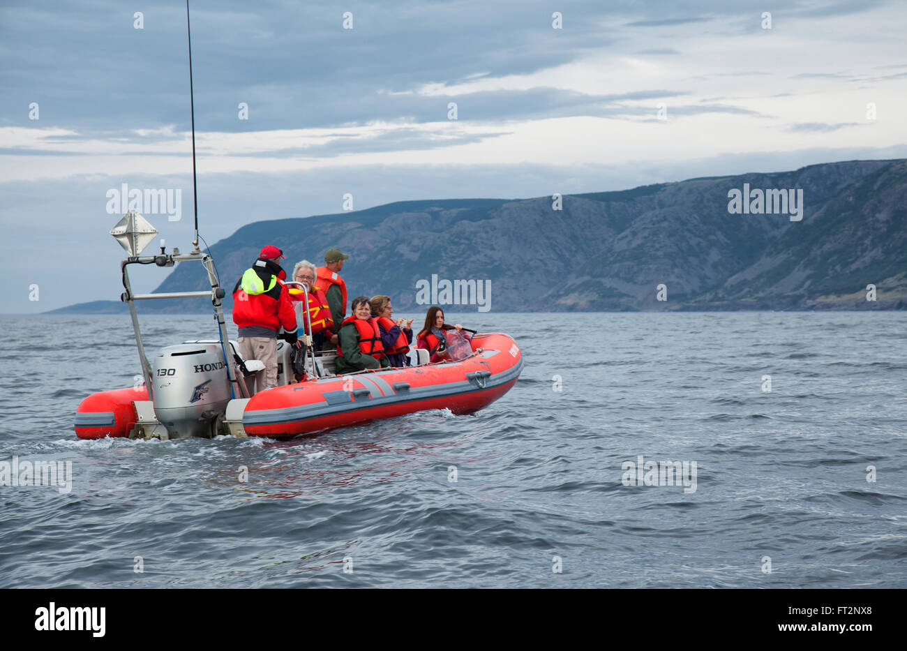 zodiac boat taking tourists out for whale watching excursion in nova