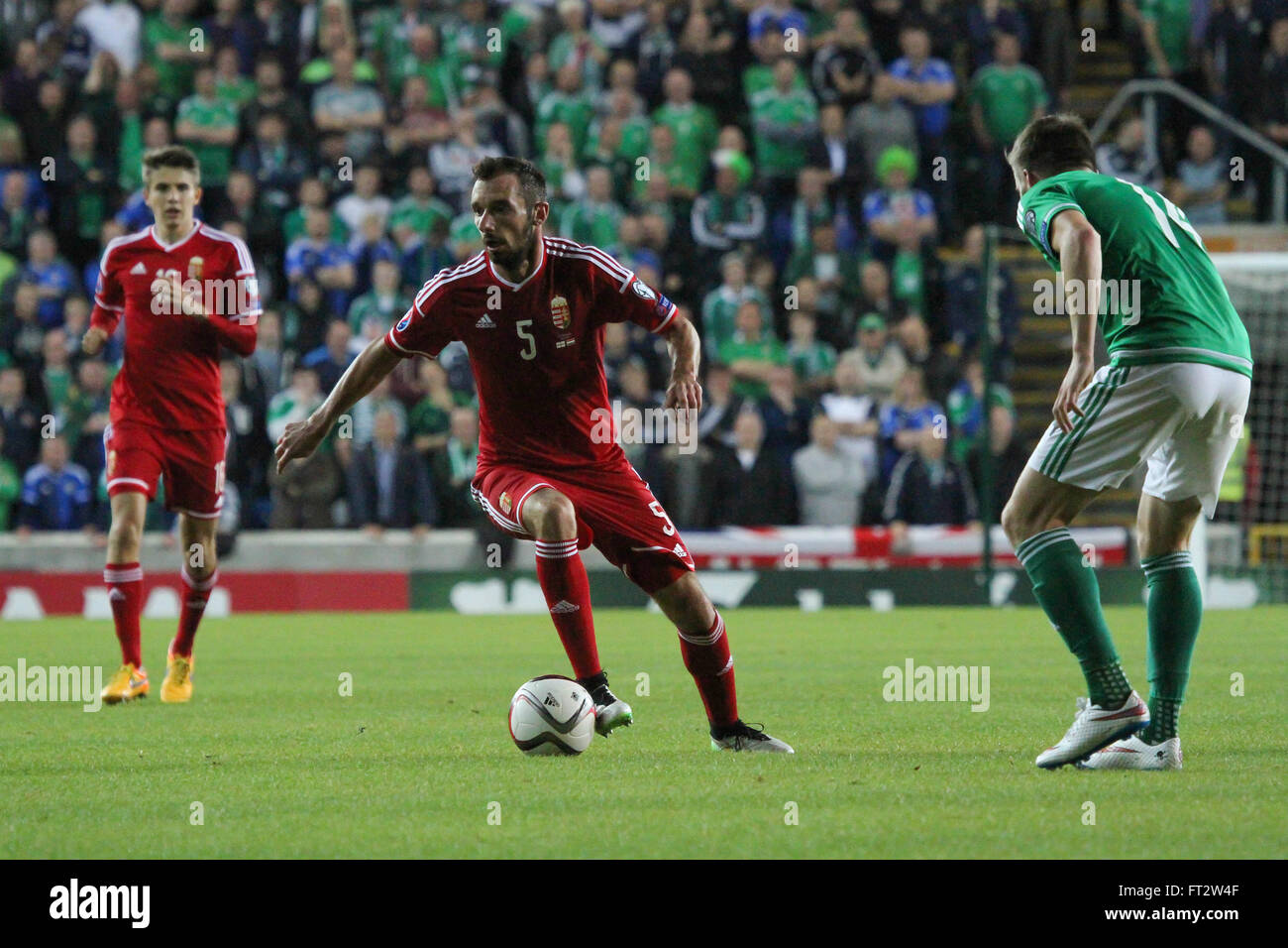 07 Sept 2015 - Euro 2016 Qualifier - Group F - Northern Ireland 1 Hungary 1. Hungary's Attila Fiola (5) in action during the game. Stock Photo