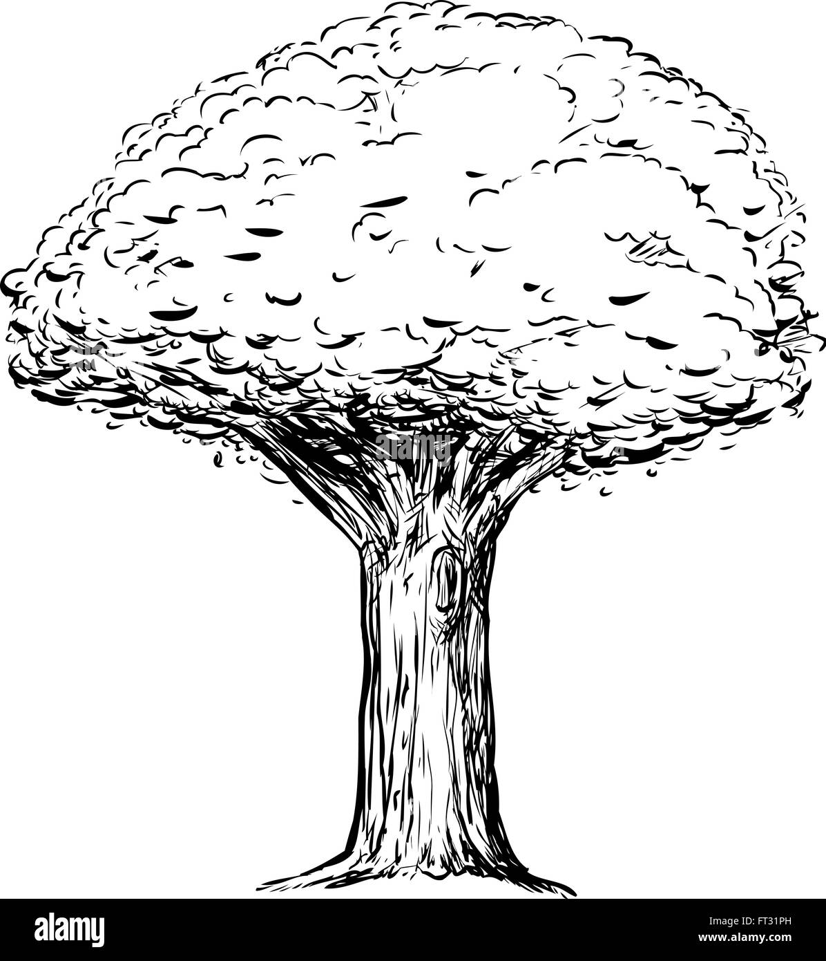 File:A hollow old tree trunk. Charcoal drawing. Wellcome V0043526.jpg -  Wikimedia Commons