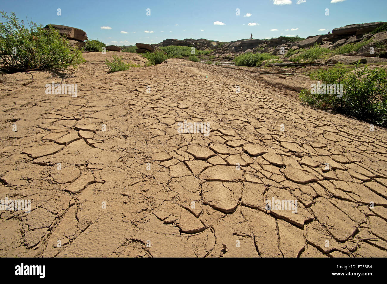 global warming concept, dry cracks in the land in rural areas Stock ...