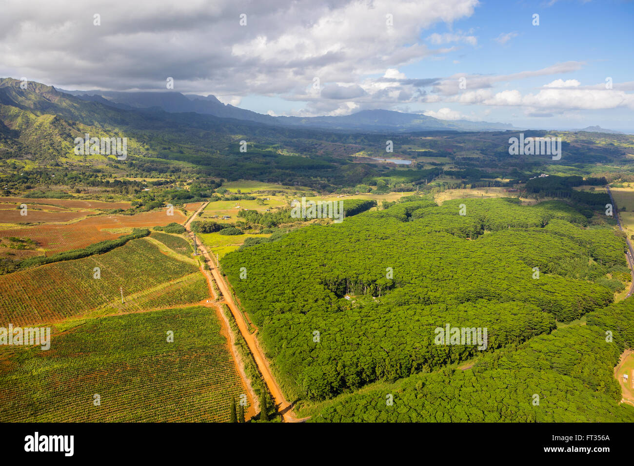 Aerial view of Kauai Koa trees Stock Photo