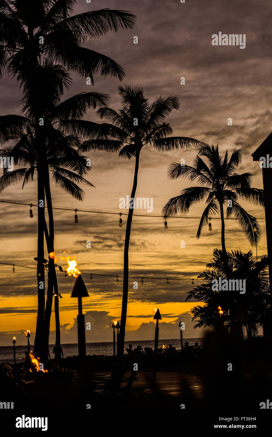 Evening silhouette of palm trees and tiki torches Stock Photo