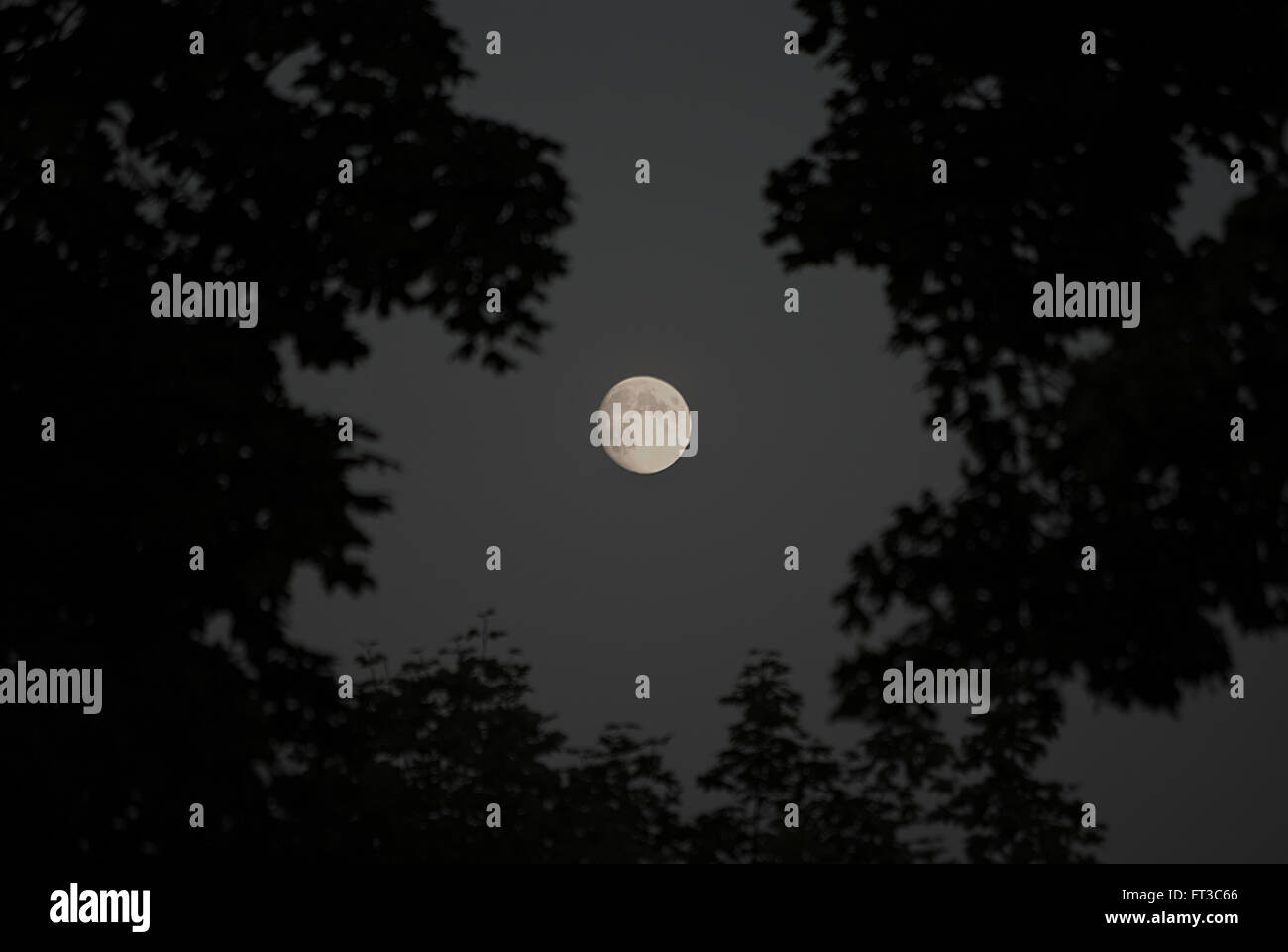 Full Moon shining in the dark sky Stock Photo - Alamy