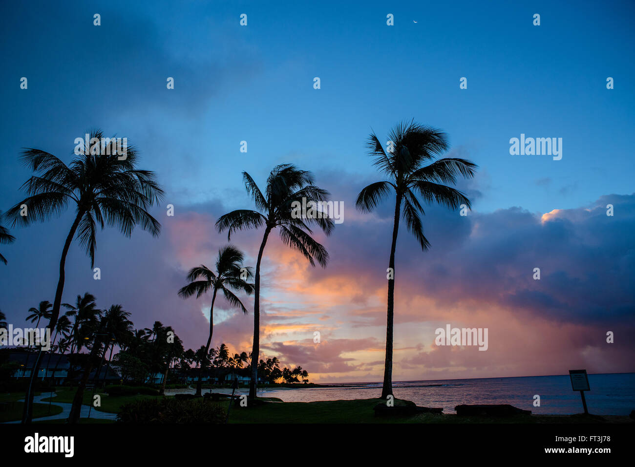 Sunrise with palm trees over Poipu Beach Stock Photo