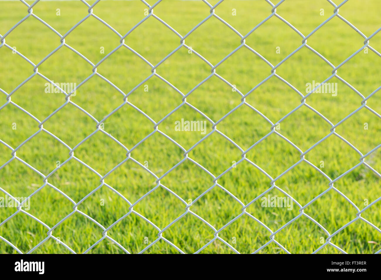 wire mesh steel with green grass background Stock Photo