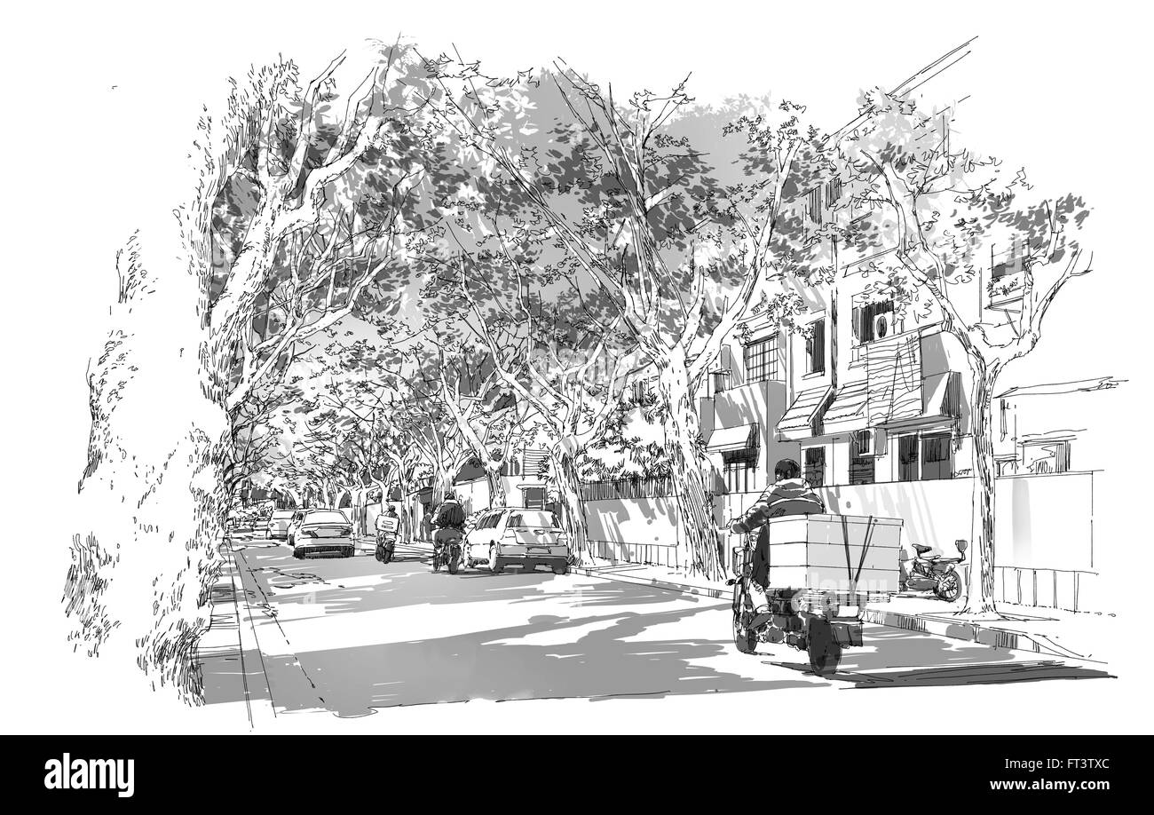 sketch of street covered with arched tree branches,French Concession,Shanghai Stock Photo