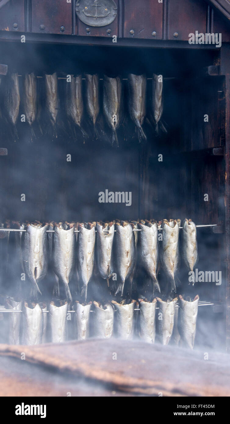 smoking room with fish Stock Photo Alamy