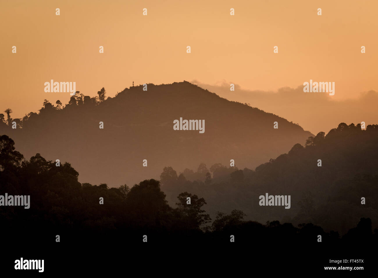 Tree topped hills captured at dawn just before sunrise, Pitas area of Sabah, Borneo Stock Photo