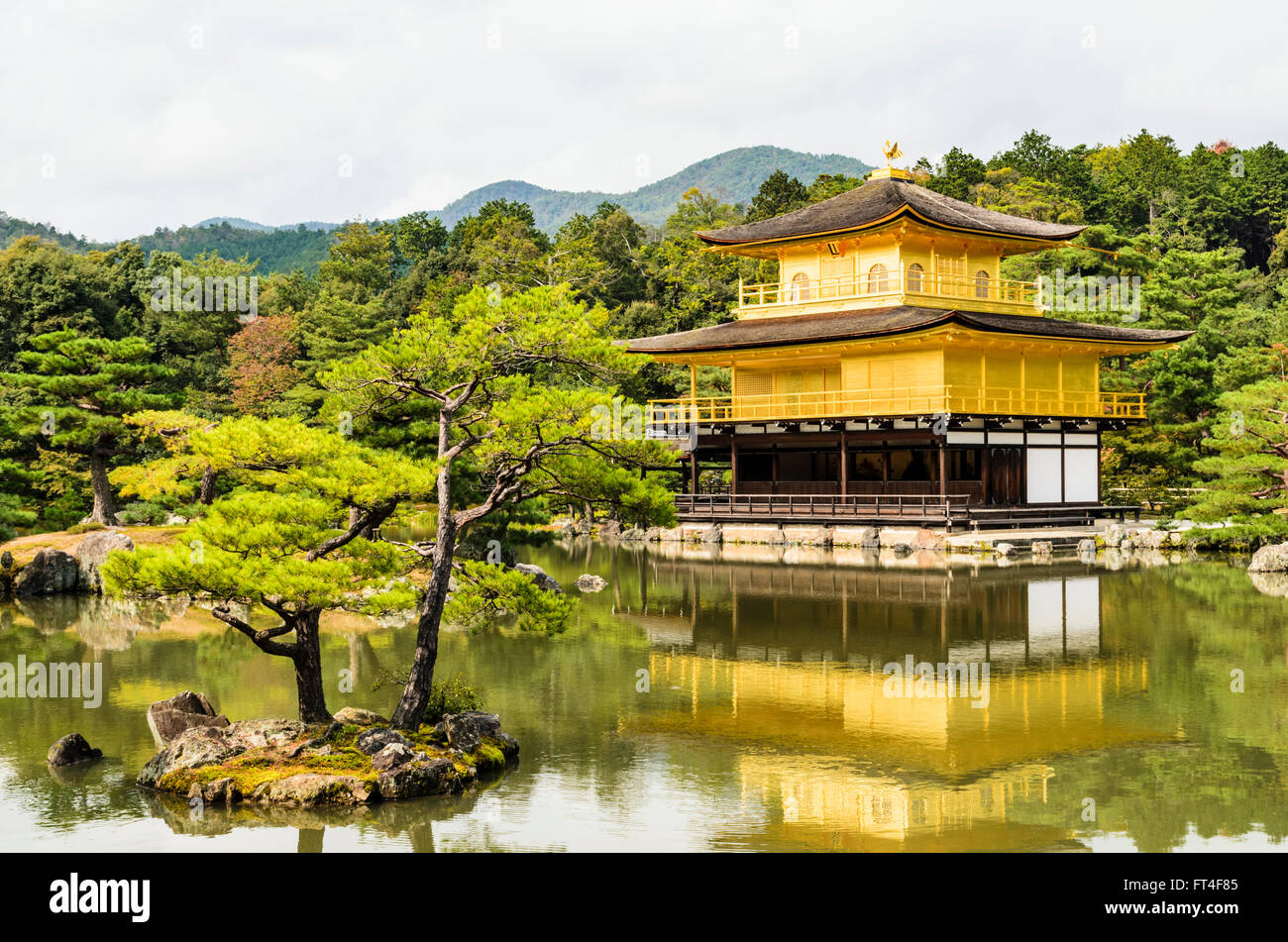 The Kinkaku-ji or Golden Pavilion in Autumn, Kita-ku, Kyoto, Kansai, Japan Stock Photo