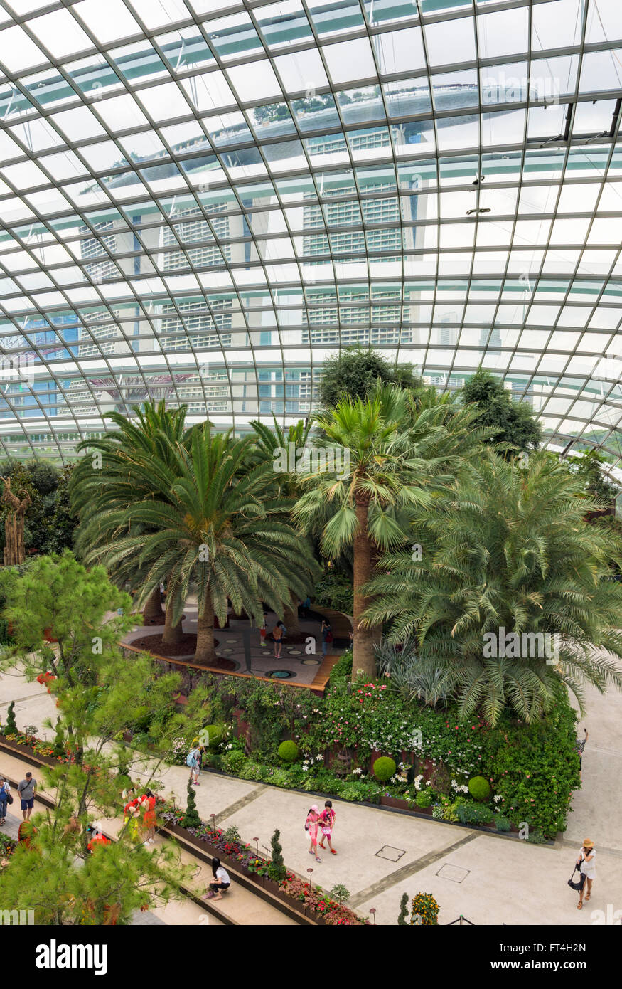Detail inside the Flower Dome, overlooked by the Marina Bay Sands Hotel at the Gardens by the Bay, Singapore Stock Photo