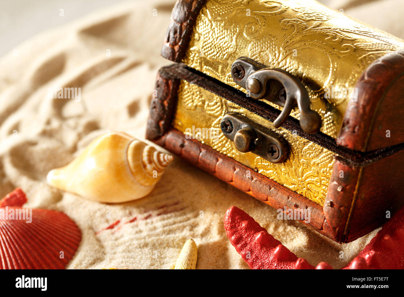 Treasure chest with seashells on sand background Stock Photo Alamy