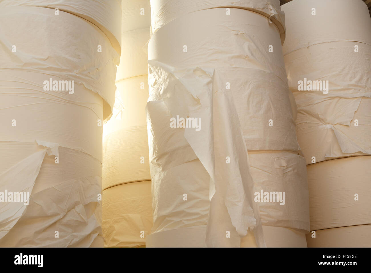 Toilet paper rolls in closeup as background Stock Photo