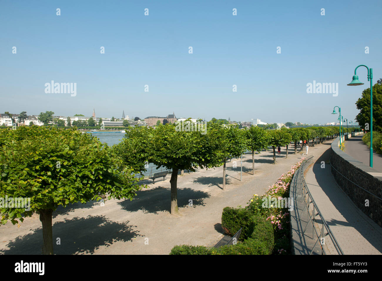 Deutschland, NordrheinWestfalen, Bonn, BonnBeuel, Rheinpromenade