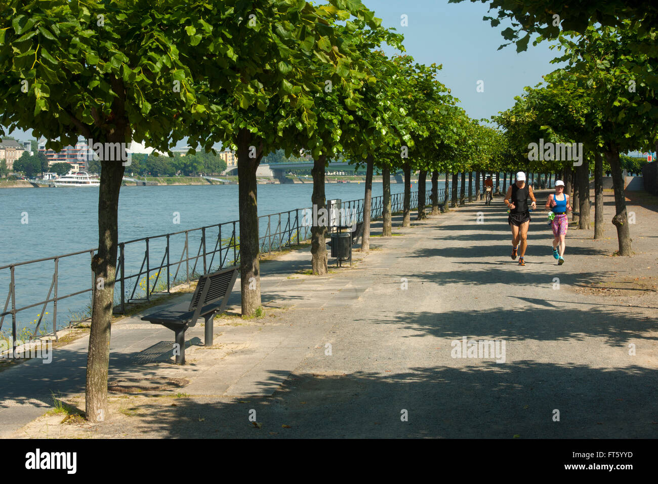 Deutschland, NordrheinWestfalen, Bonn, BonnBeuel, Rheinpromenade
