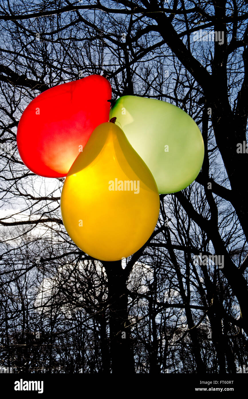 Balloons hang from the branches of a tree in the woods. Stock Photo