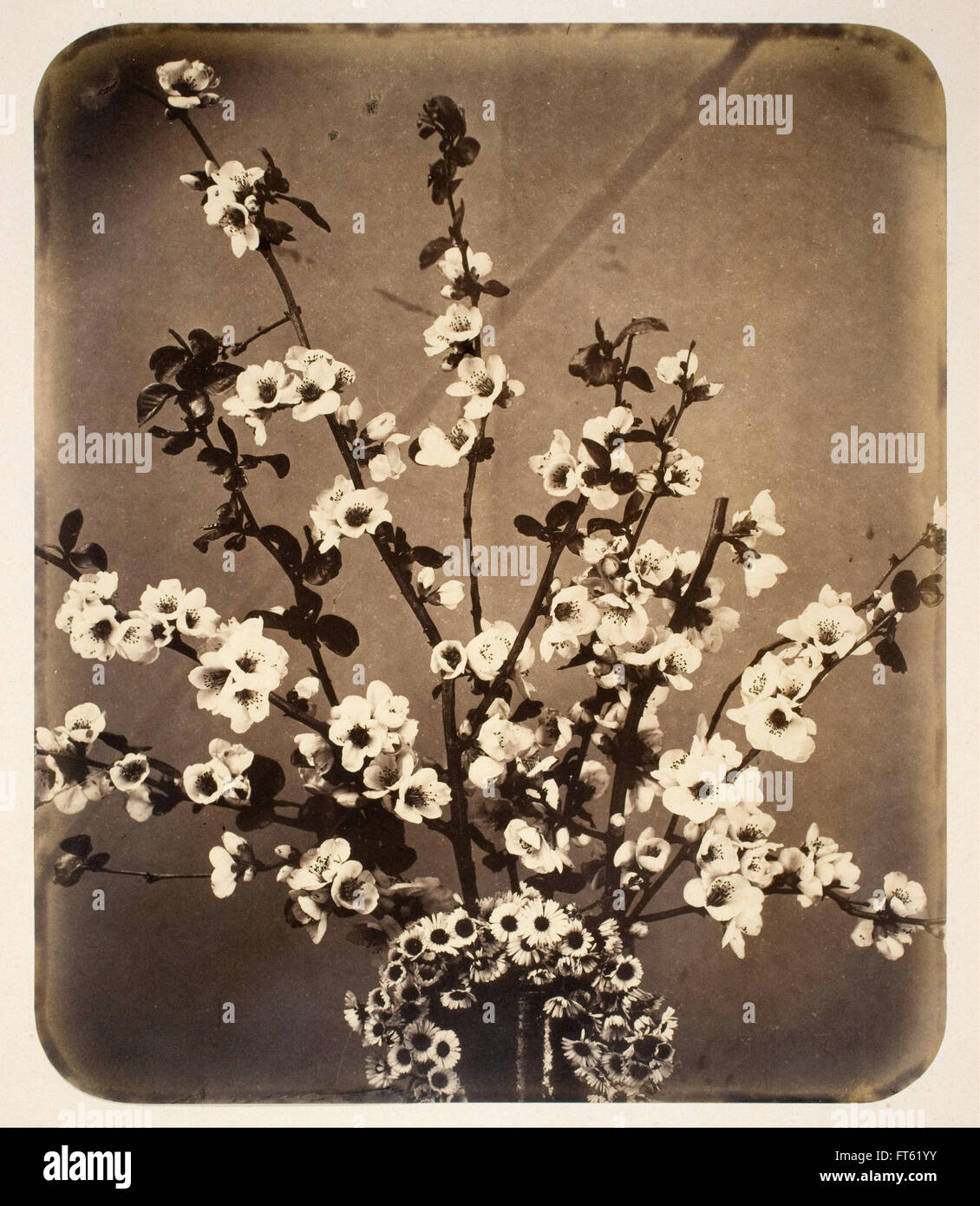 Adolphe Braun - Floral Still Life Stock Photo
