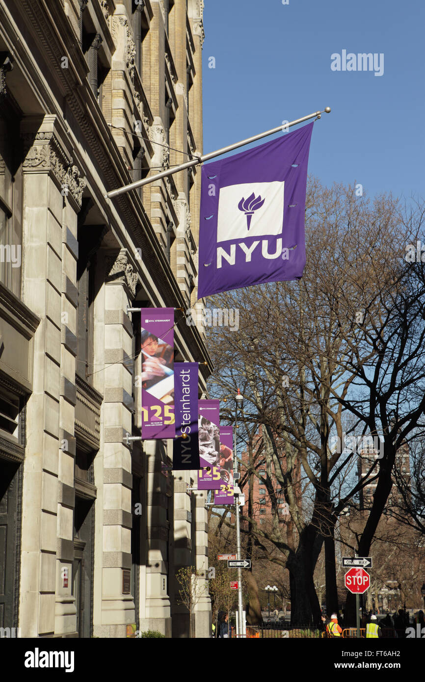 NYU Albert Redesign — RUYI CHEN