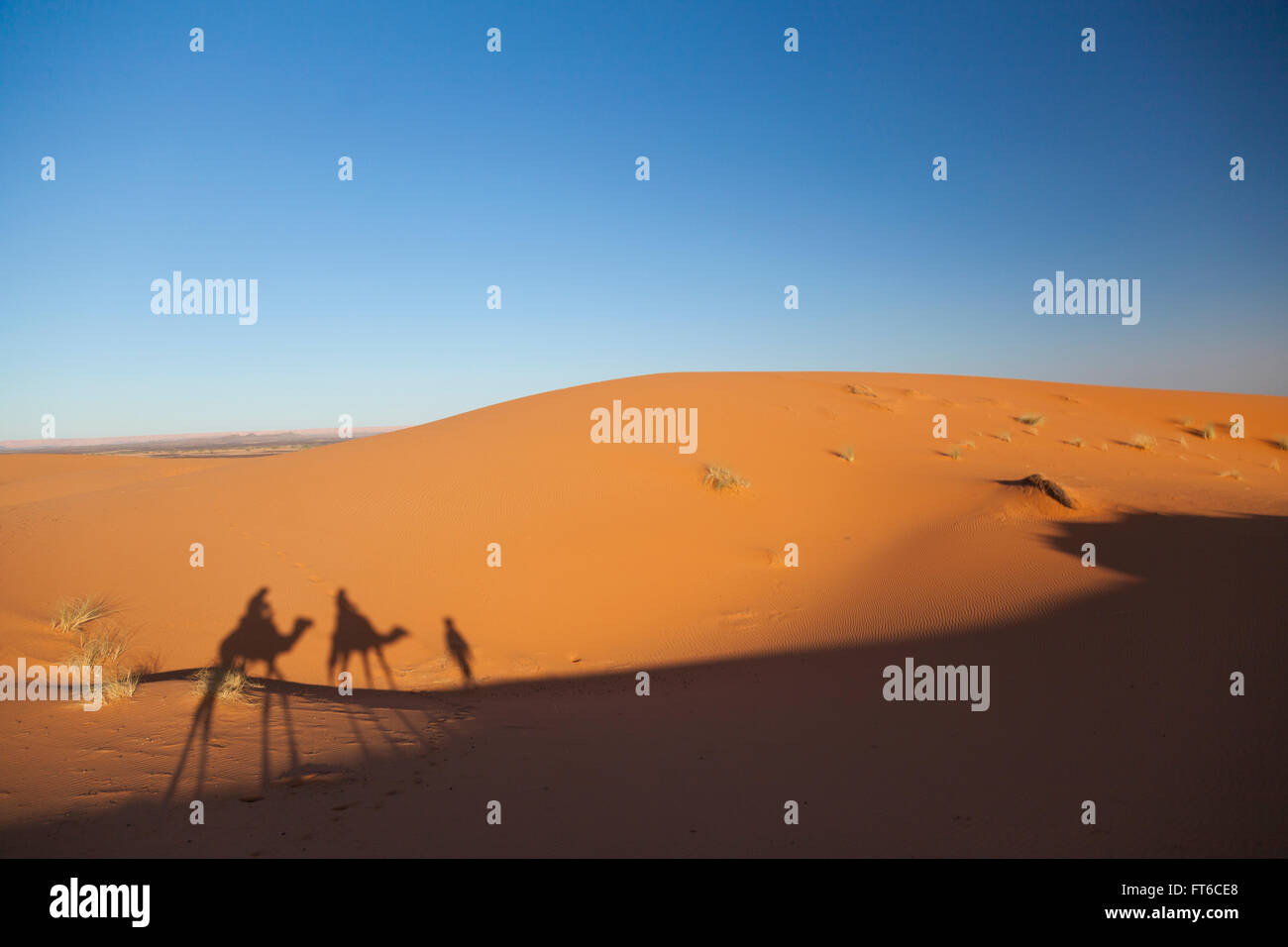 Silhouette of camel and driver, Merzouga Dunes, Morocco Stock Photo