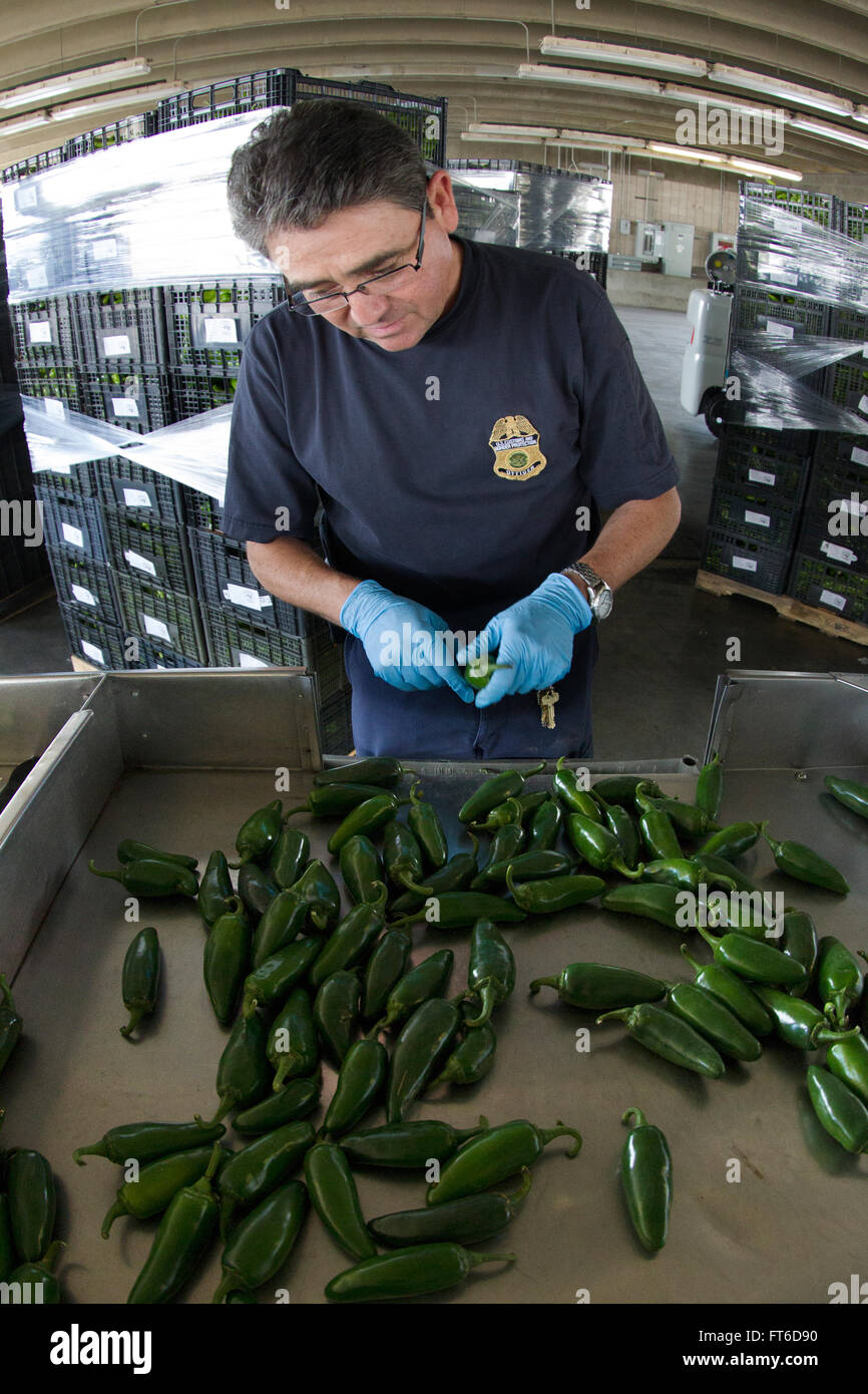 cbp-agriculture-specialist-hi-res-stock-photography-and-images-alamy
