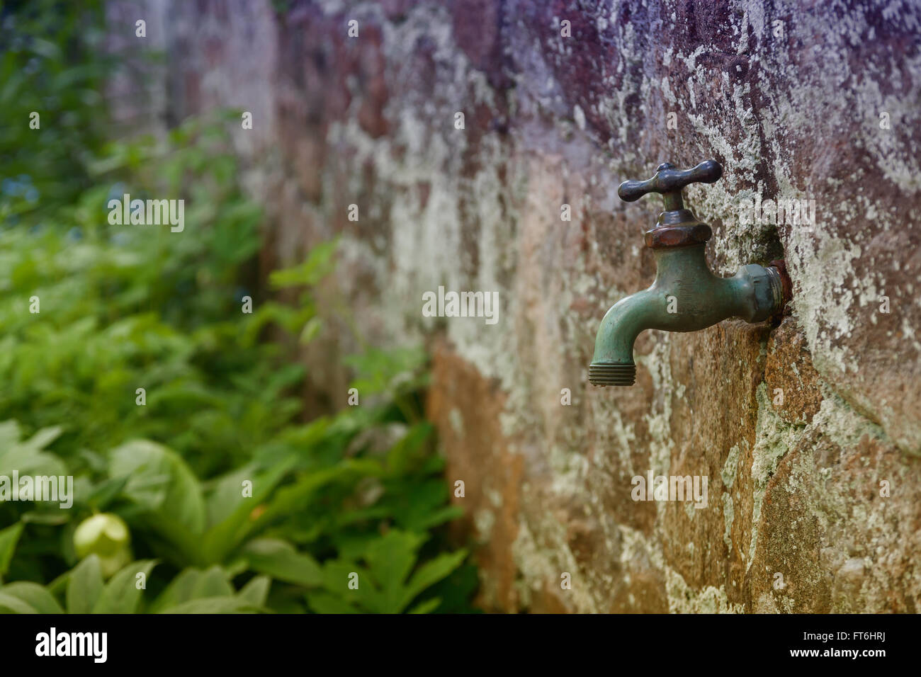 Old garden faucet or tap gardening concept with copy space and vintage style filter applied to image Stock Photo
