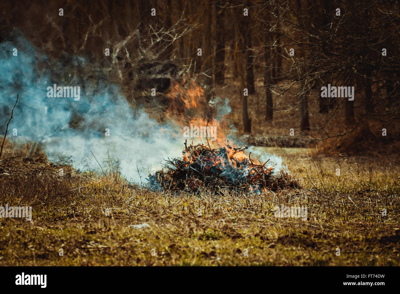 Fire which burned stick and leaves background Stock Photo