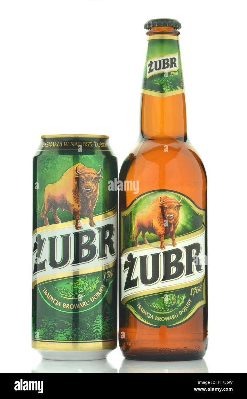 Zubr lager beer isolated on white background. Stock Photo