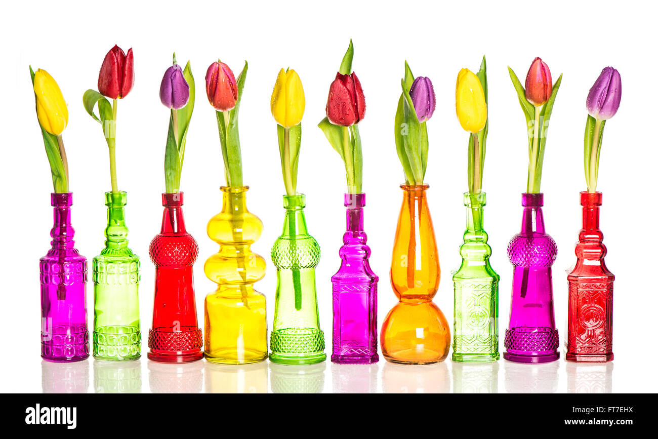 Colorful tulips in vases isolated on white background Stock Photo