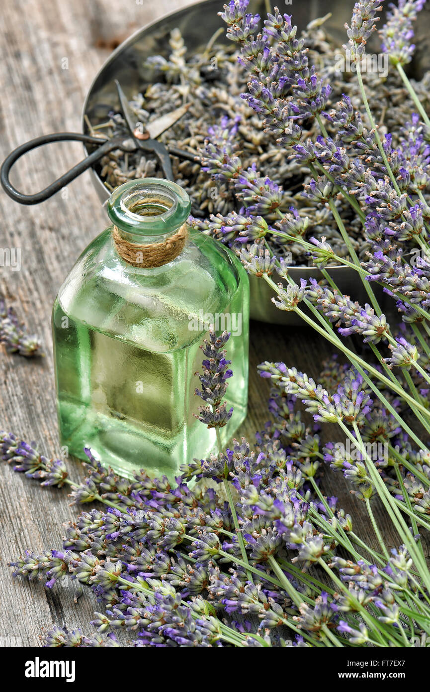 Lavender flowers bouquet with herbal oil and vintage scissors ...