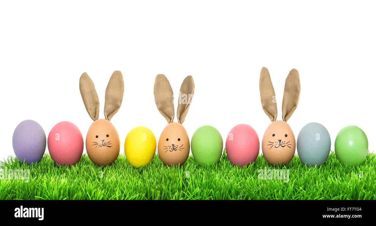 Funny bunny easter eggs over white background. Holidays banner Stock Photo