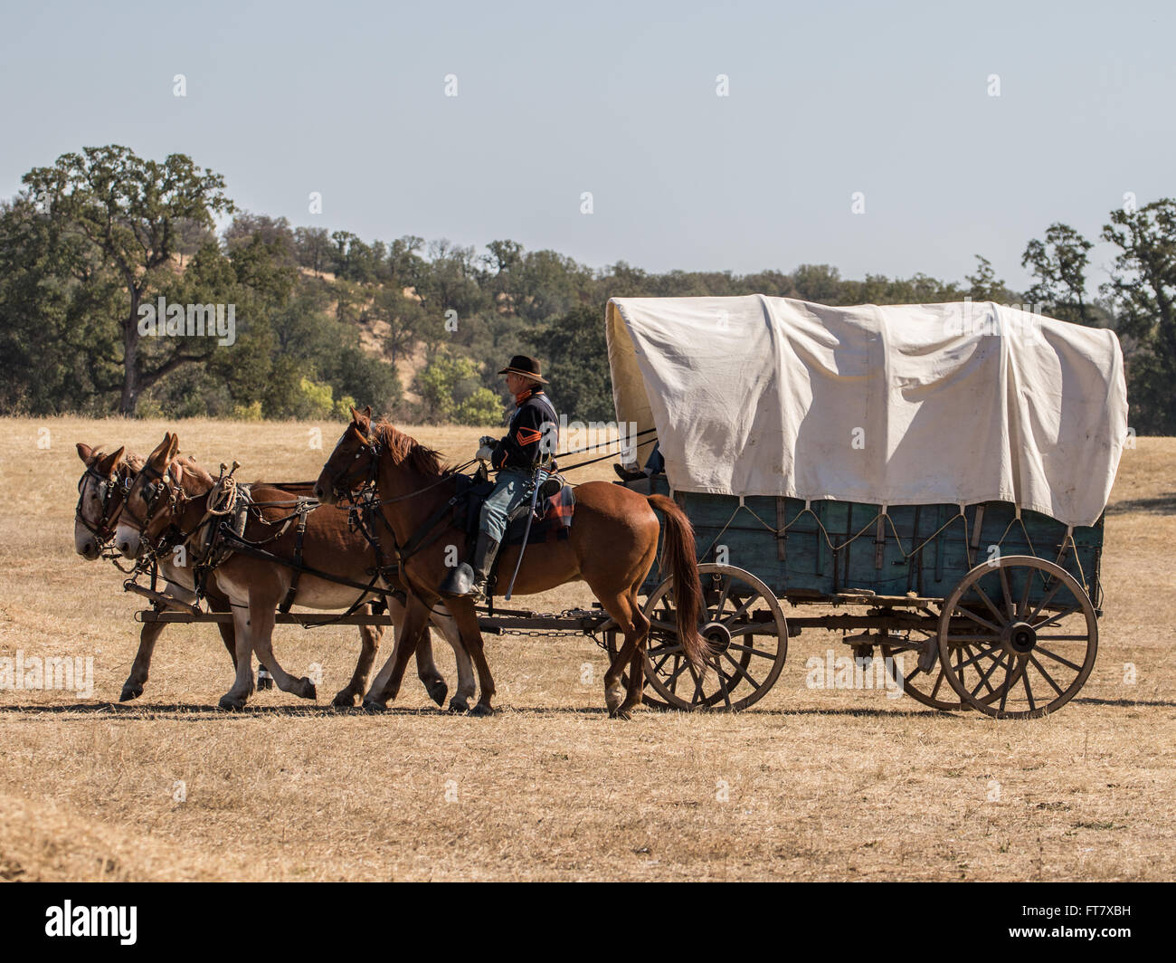 An American Civil War wagon and escorts in a reenactment in Anderson