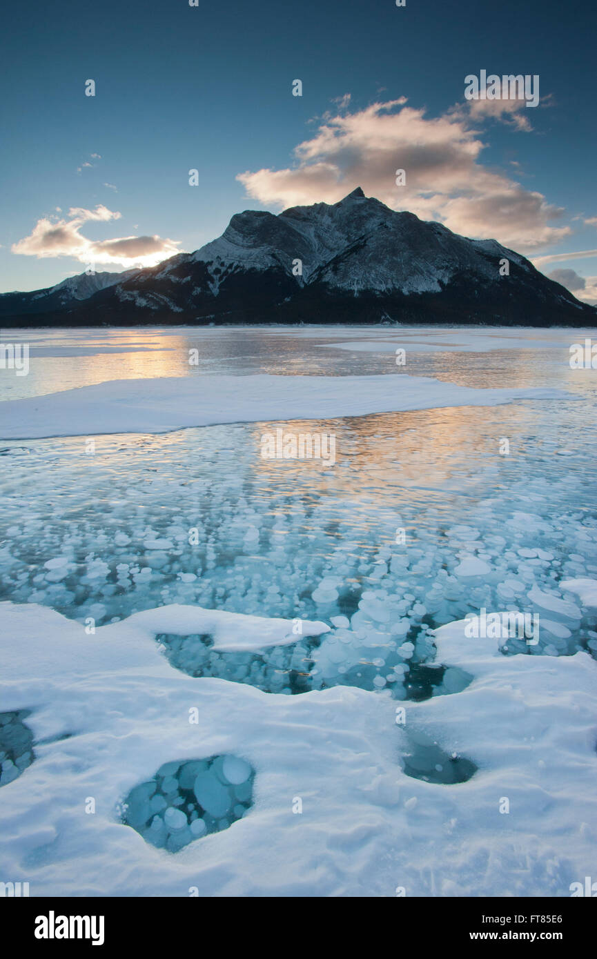 Frozen gas bubbles beneath surface of frozen Lake Abraham, Canadian