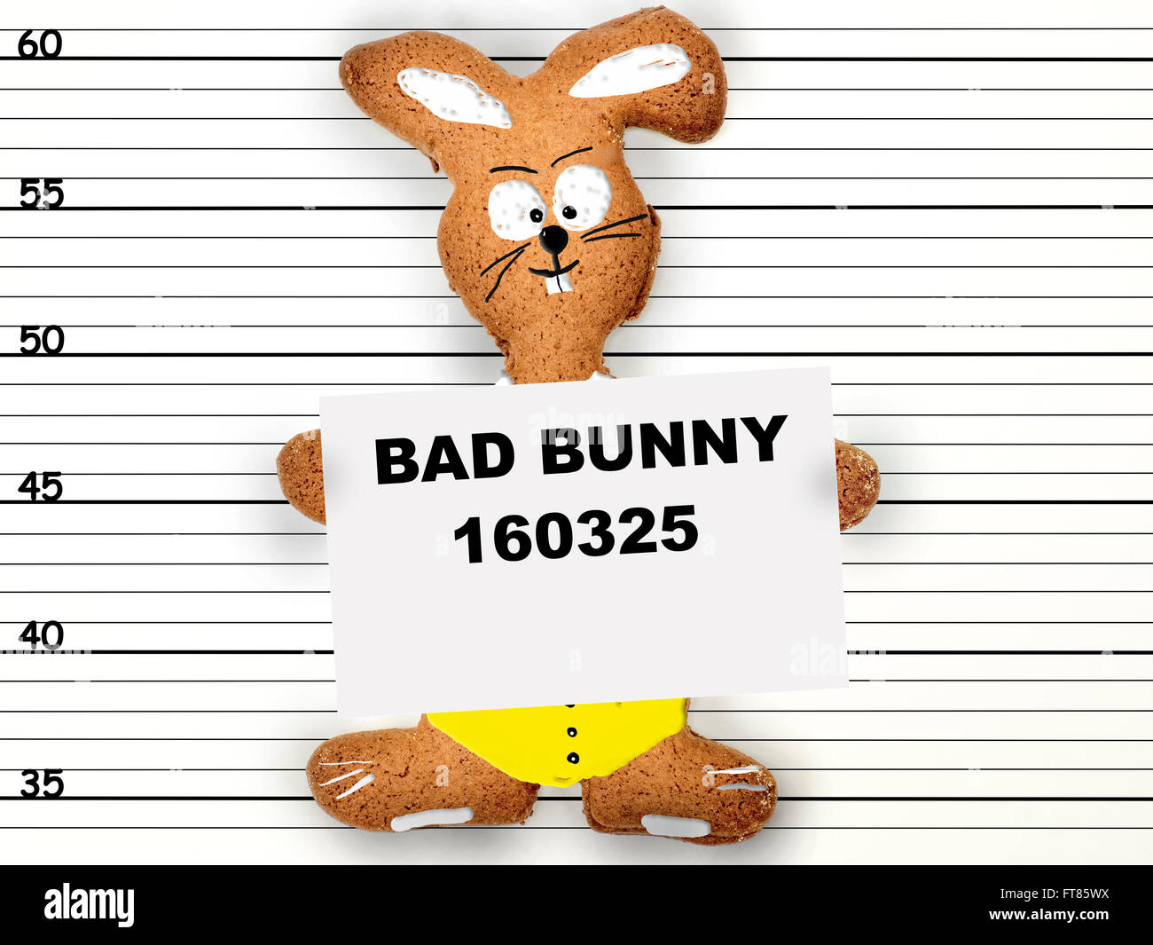 mugshot of a bad bunny Stock Photo