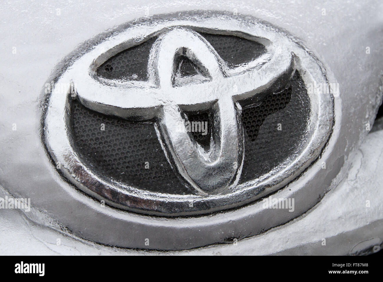A frozen Toyota emblem on a Toyota Corolla, Ont., on March 25, 2016. Stock Photo