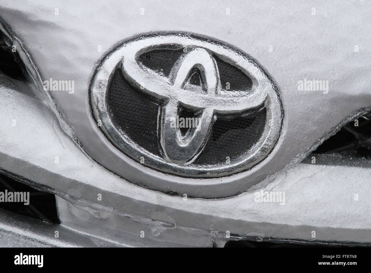 A frozen Toyota emblem on a Toyota Corolla, Ont., on March 25, 2016. Stock Photo