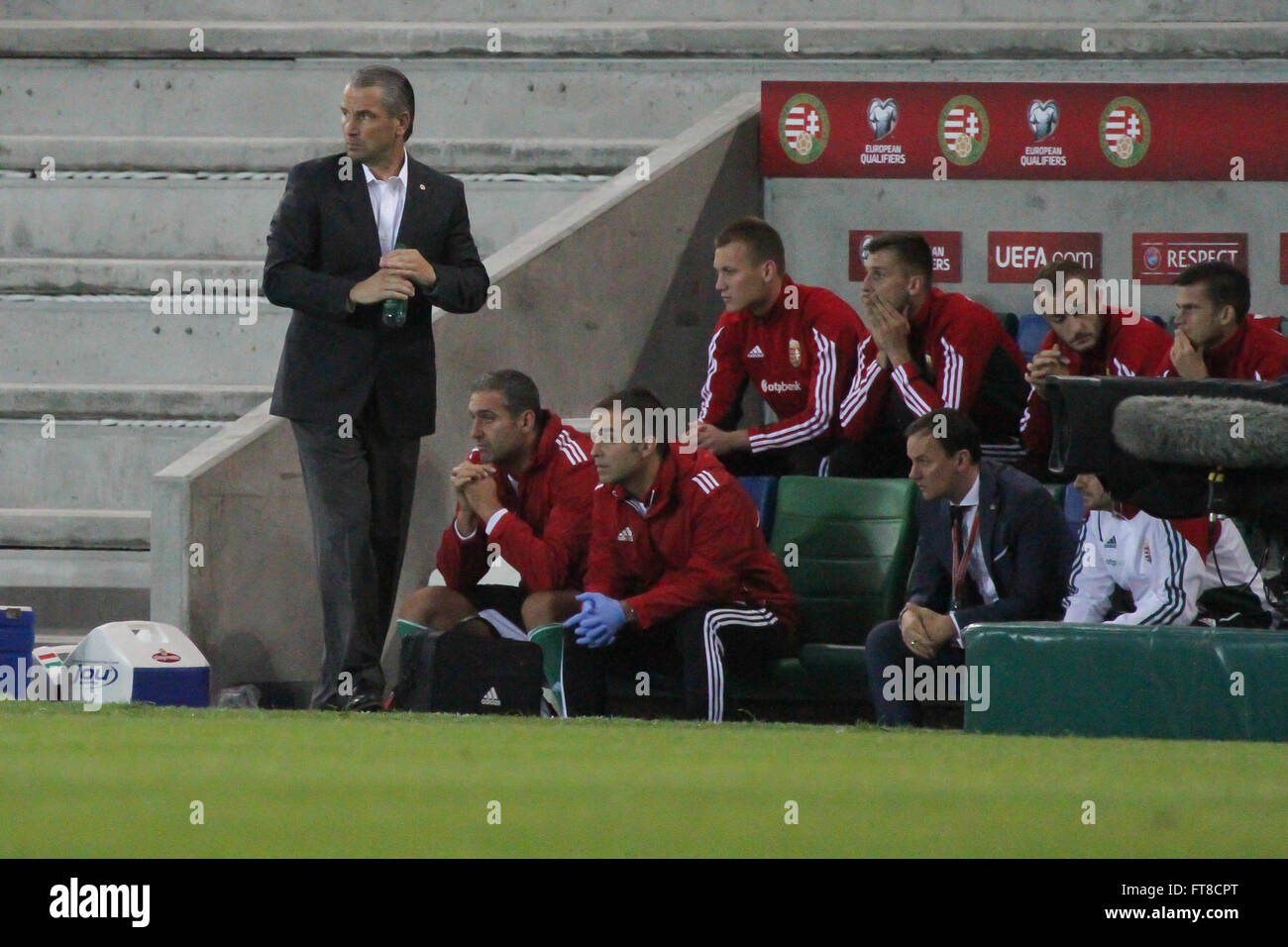 07 Sept 2015 - Euro 2016 Qualifier - Group F - Northern Ireland 1 Hungary 1. Hungary's manager Bernd Storck watches the action from the technical area. Stock Photo