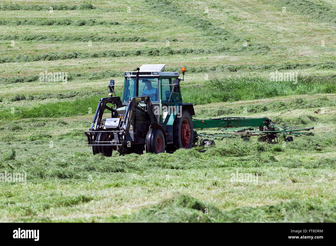 Tractor with circular rake raking cut grass for hay making on grassland