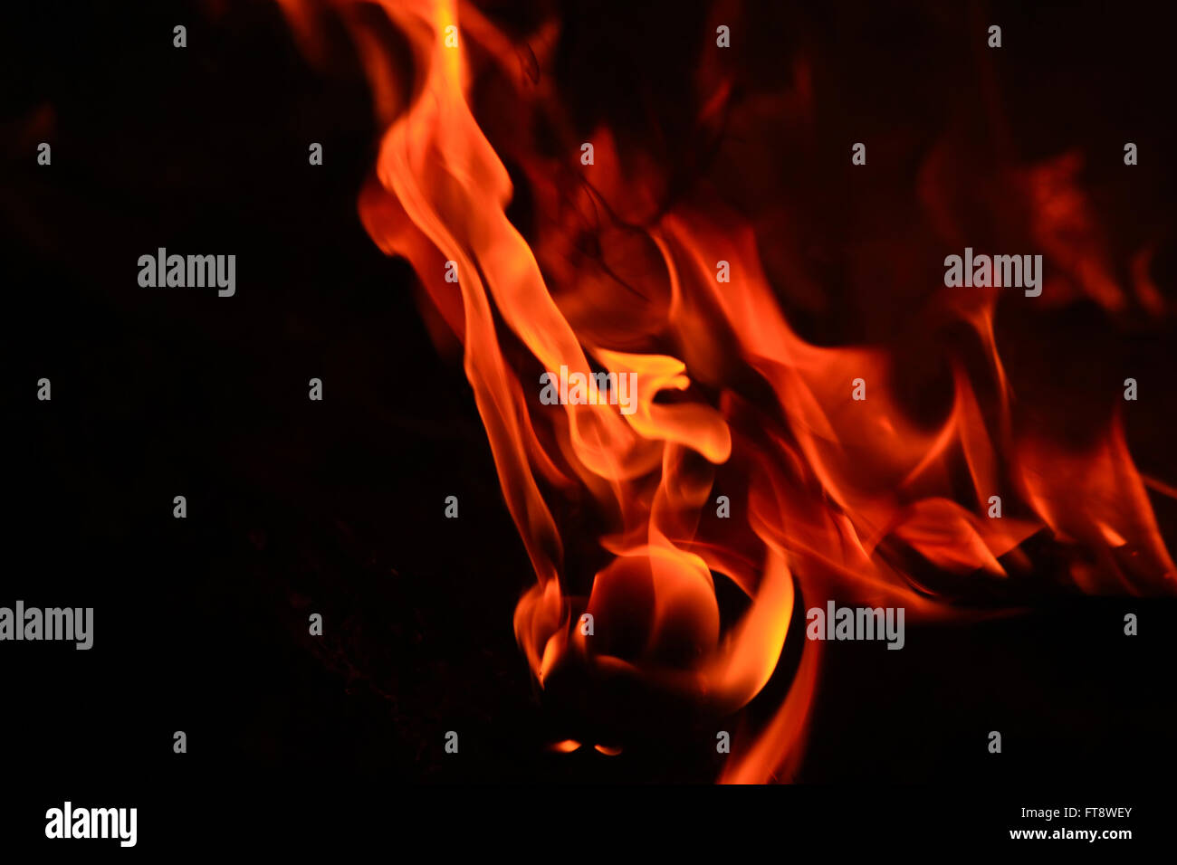 fire burning anything Stock Photo Alamy