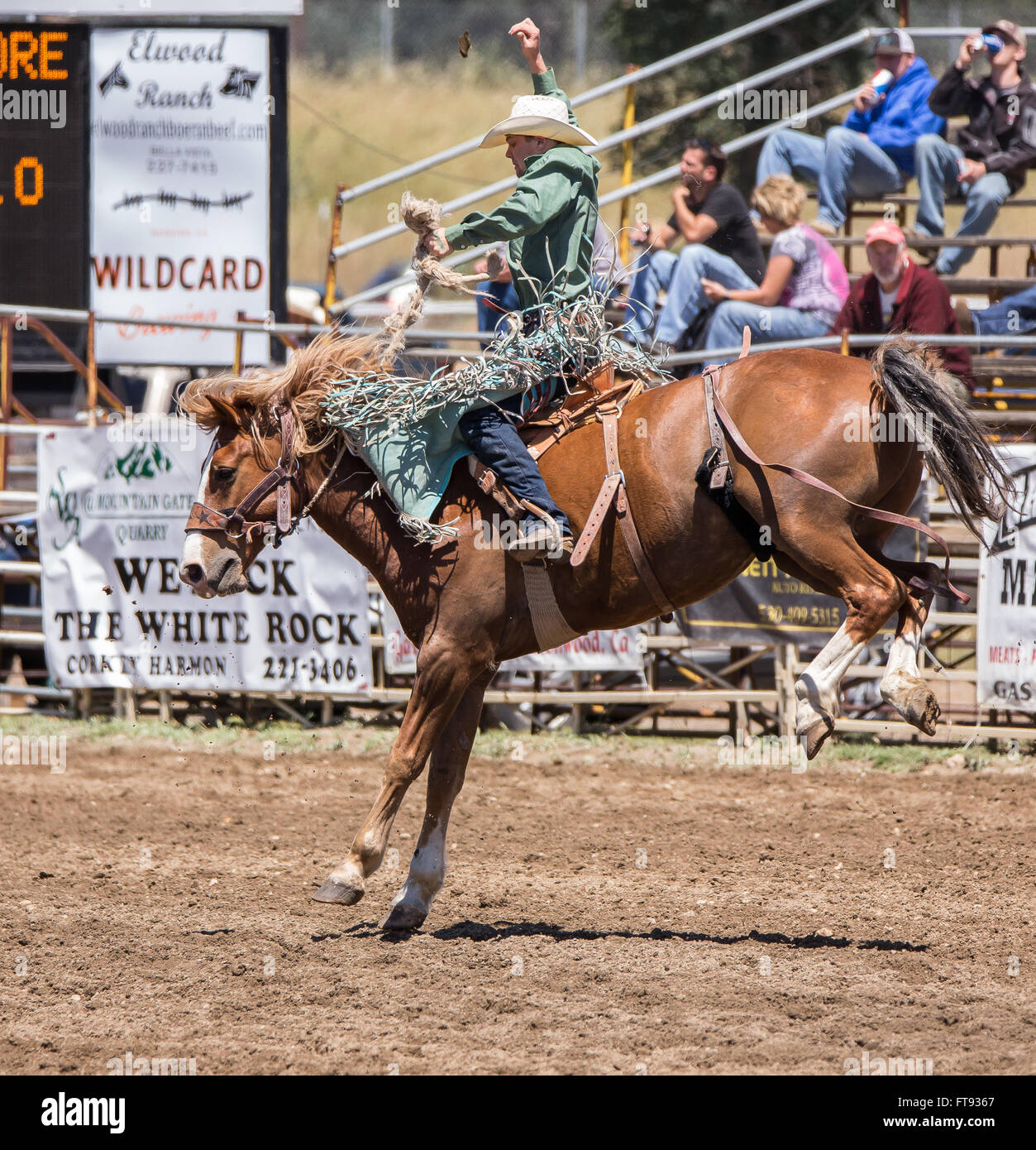 Bronco riding in a rodeo in Cottonwood, California Stock Photo - Alamy