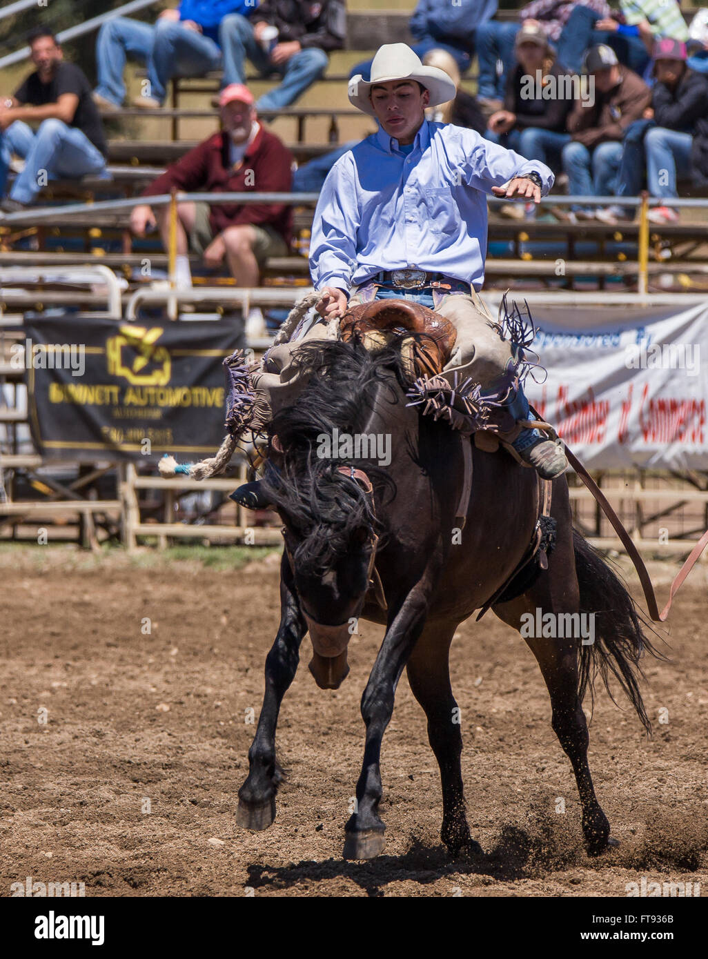 Bronco riding in a rodeo in Cottonwood, California Stock Photo - Alamy