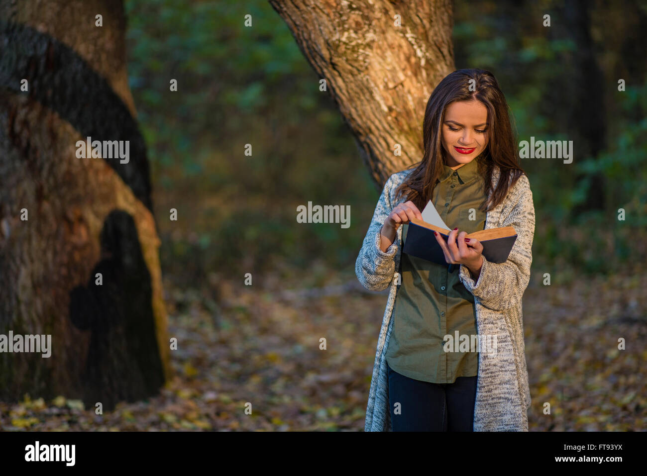 A teenager girl is reading a book in an evening forest with two oak trees in the background. She casts shadow on one of trees. Stock Photo