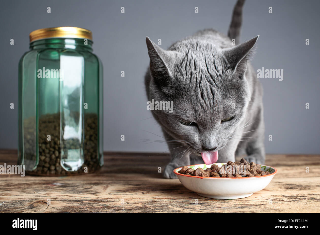 Catfood hi-res stock photography and images - Alamy